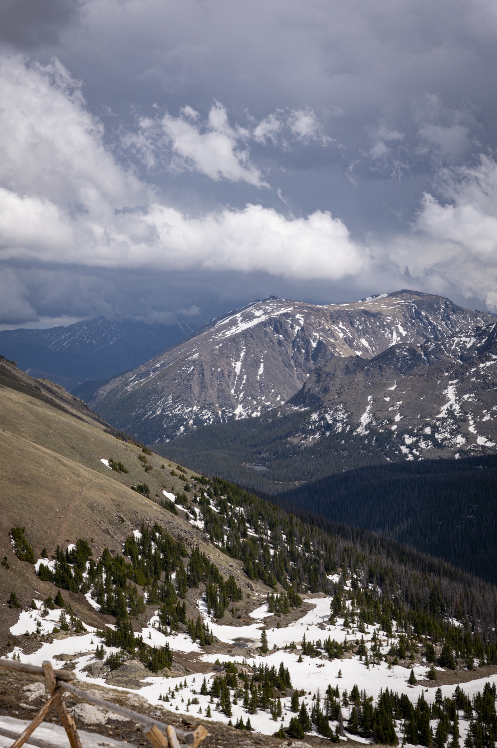 Alpine tundra