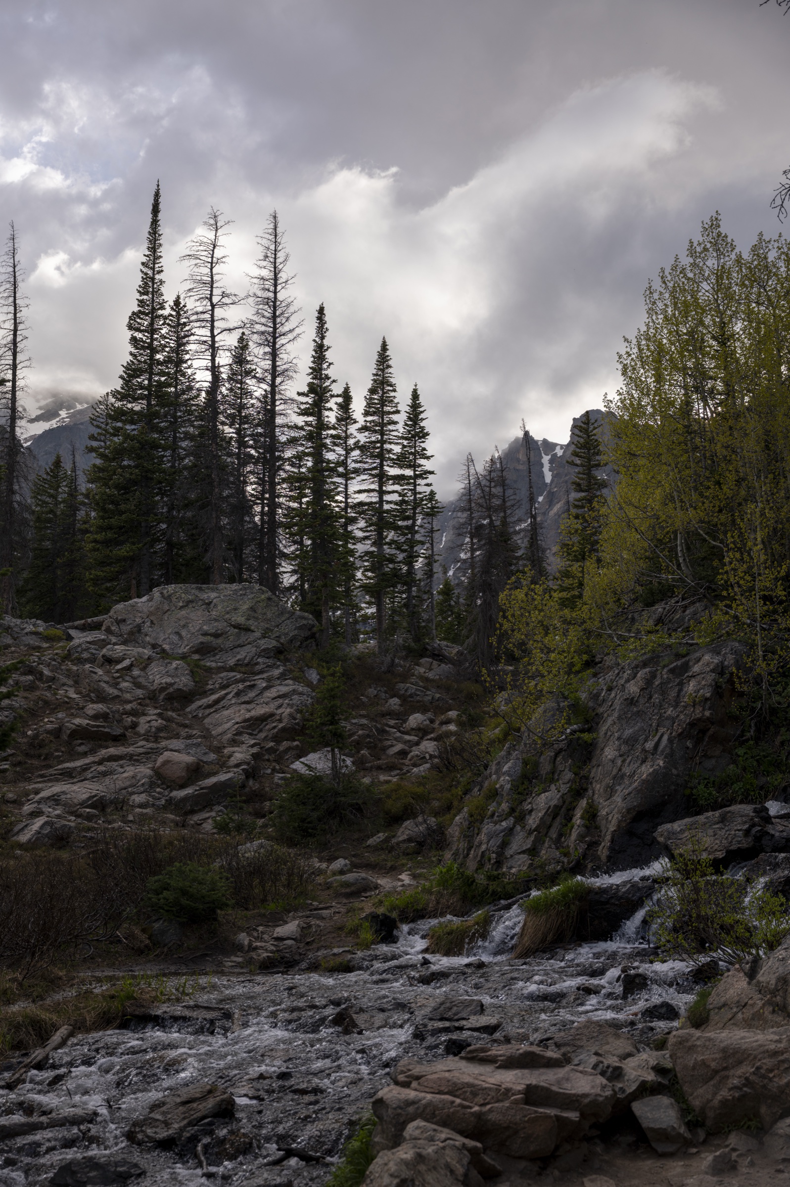 Mountain stream