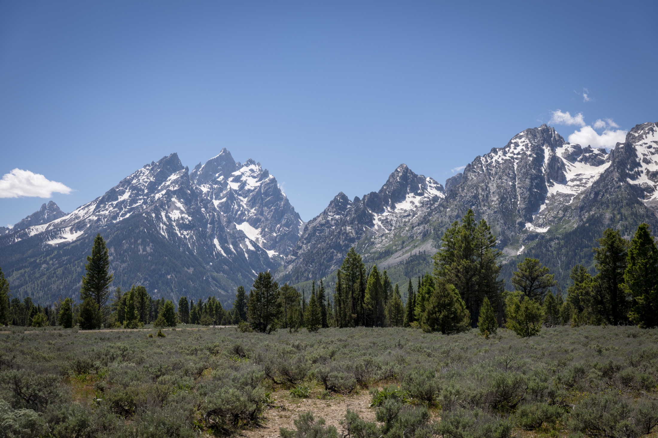 The Cathedral Group of the Teton range