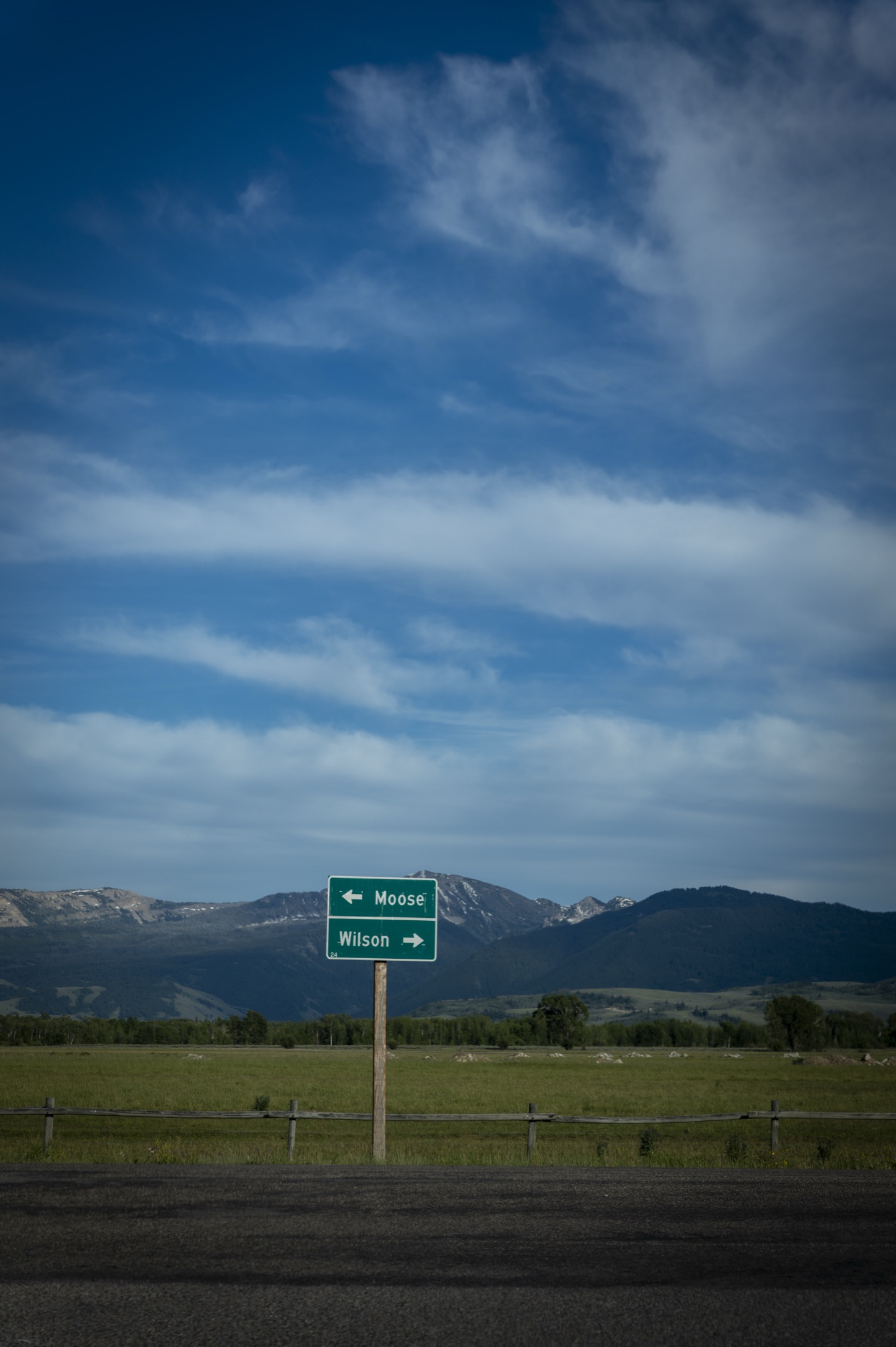 A Moose / Wilson road sign