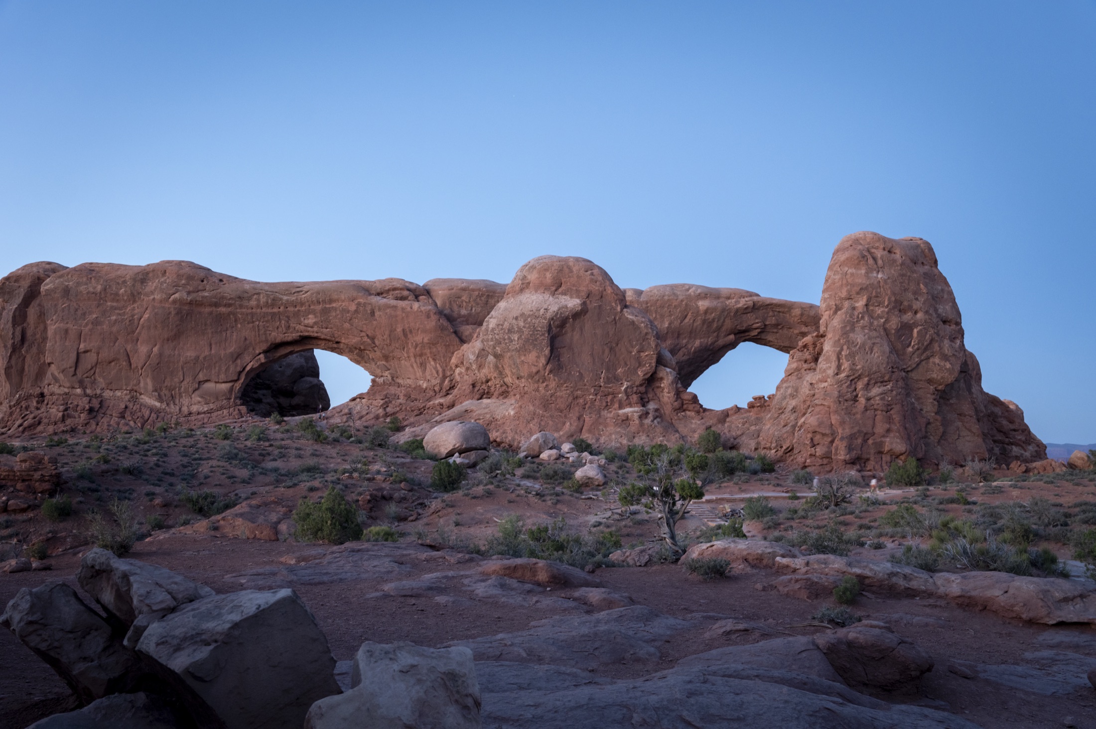 The Windows at blue hour