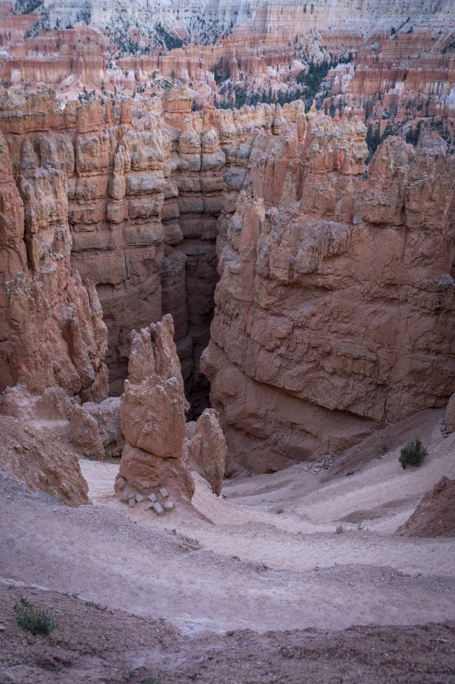 Bryce hoodoos