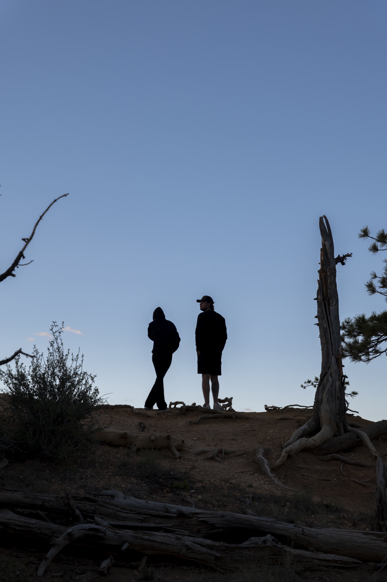 Hikers on a ridge at dusk